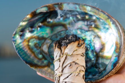 Abalone Shell LARGE